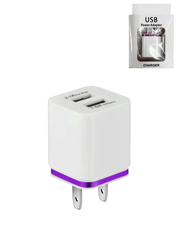Dual USB Wall Charger - 2.1A/1.0A for iPad and Other Devices