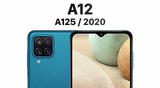 Samsung A 10 Series Front screen Replacement